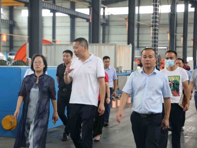 永州市人大常委會副主任李農(nóng)妹深入三湘電纜展開科技調研